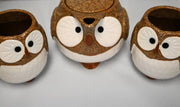 Owl-themed Teapot Set