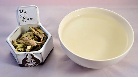Ya Bao tea leaves on the left, with a fresh-steeped cup of tea on the right. The leaves are soft, textured, and resemble pine cones. The liquid is a creamy white, almost clear.